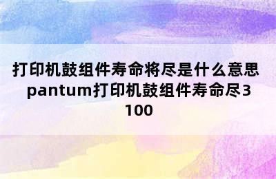 打印机鼓组件寿命将尽是什么意思 pantum打印机鼓组件寿命尽3100